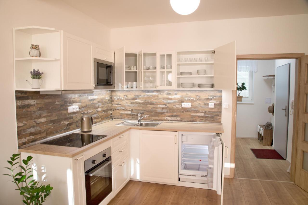 Mikulov Apartments - Apartman Radka Εξωτερικό φωτογραφία